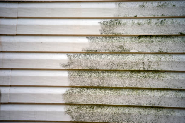 Best Hoarding Cleanup  in Pell City, AL